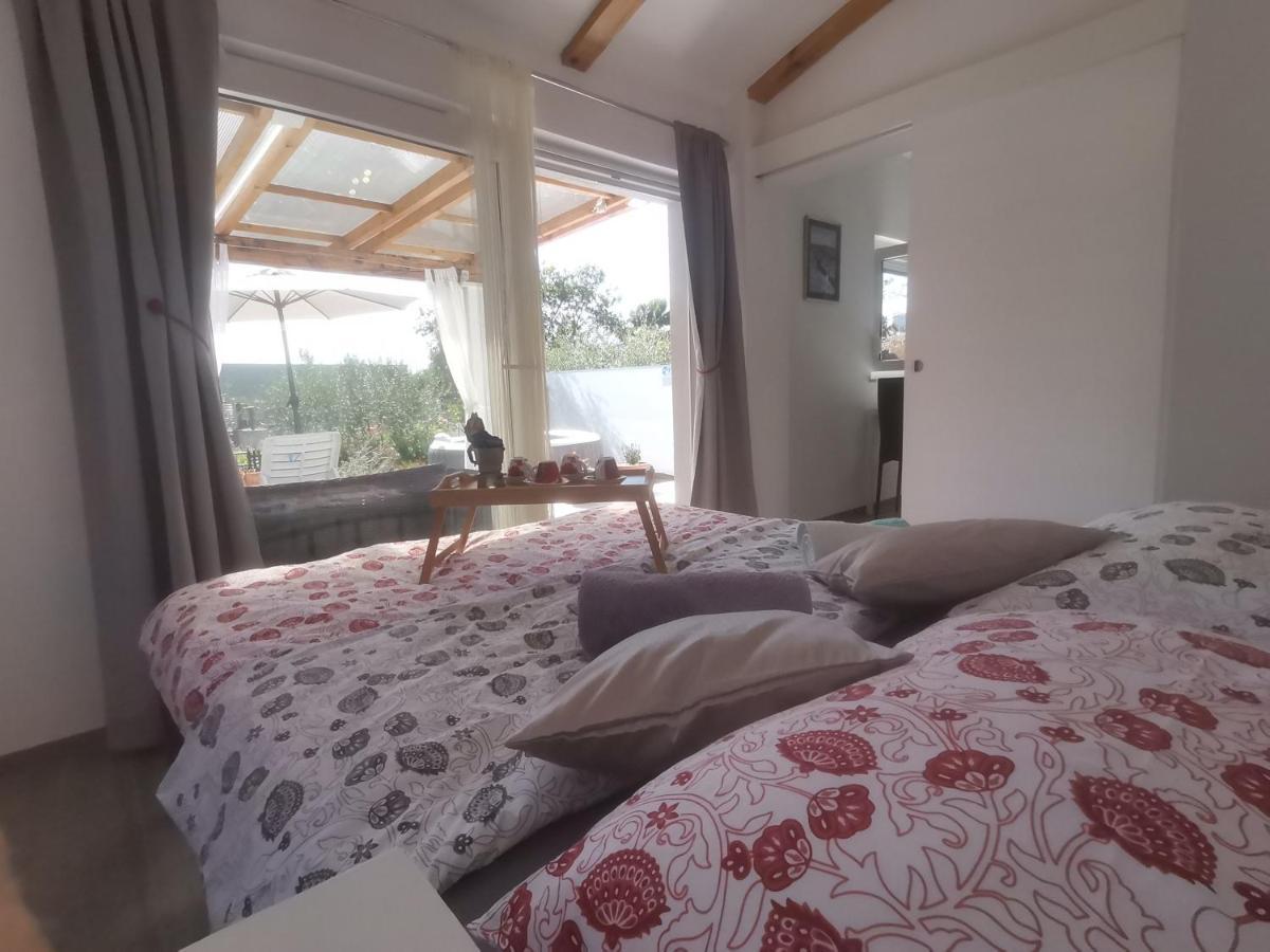 Villa Molo Novigrad Istria Εξωτερικό φωτογραφία