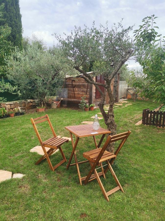 Villa Molo Novigrad Istria Εξωτερικό φωτογραφία