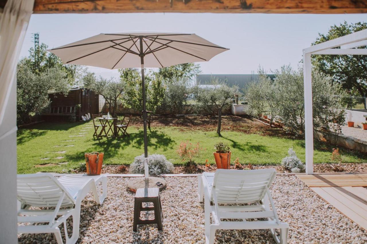 Villa Molo Novigrad Istria Εξωτερικό φωτογραφία
